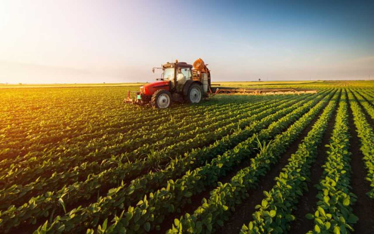 Industries 23 agriculture and dairy img1
