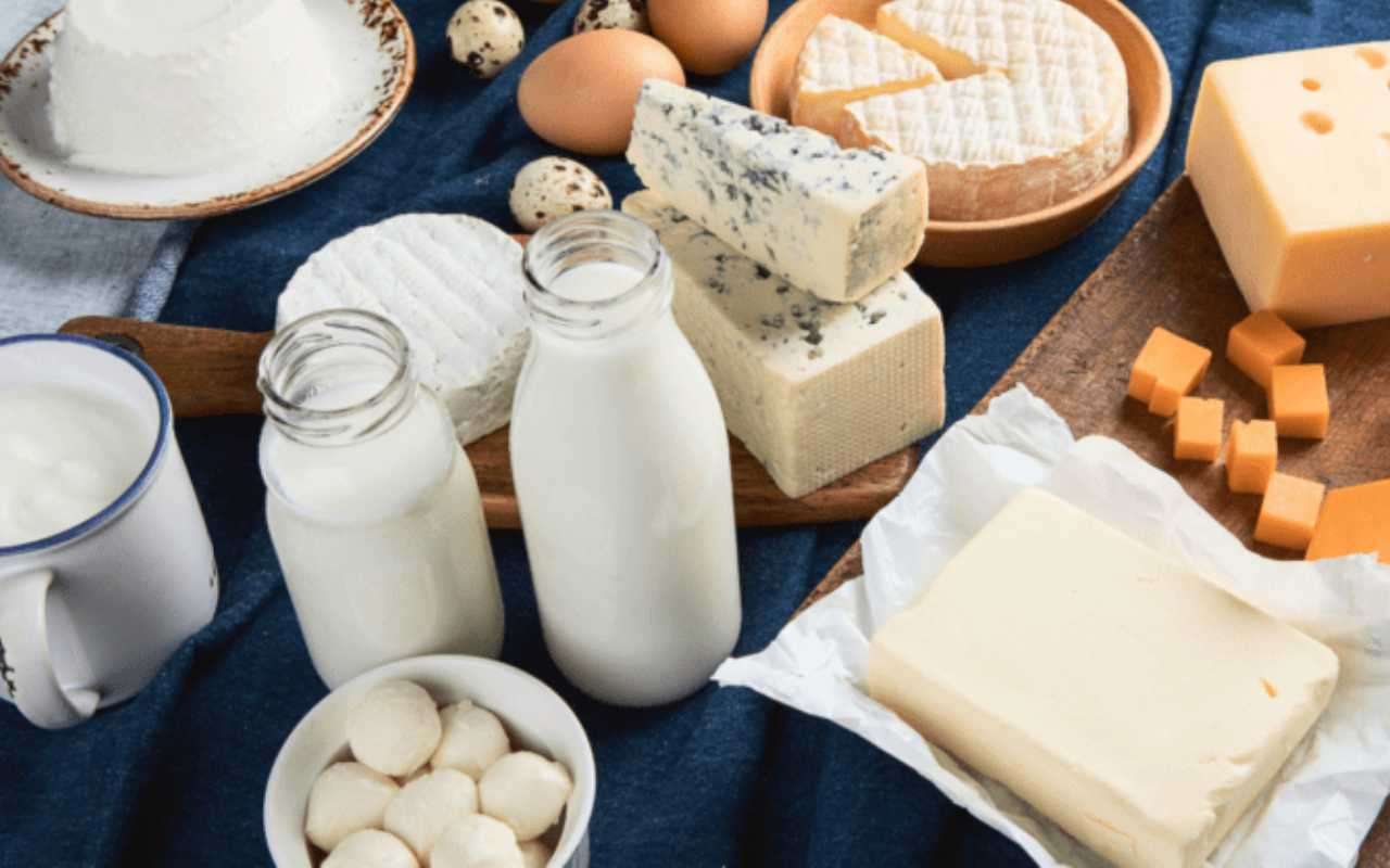 Industries 24 agriculture and dairy img2